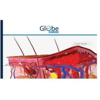 A Comprehensive Overview of the Diagnosis and Treatment