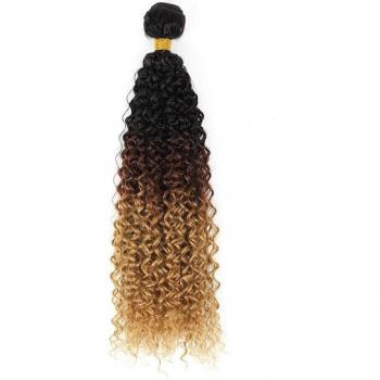 ZYR Ombre Curly Synthetic Hair Weave