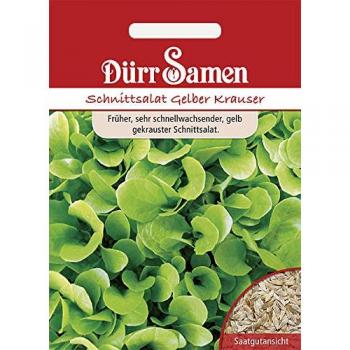 Gelber Krauser Salatsamen