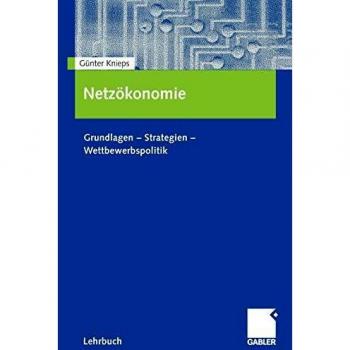 Netzökonomie