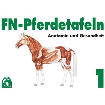 Deutsche Reiterliche Vereinigung e.V. (FN) Fn-Pferdetafeln Set 1: Enthält Tafel 1