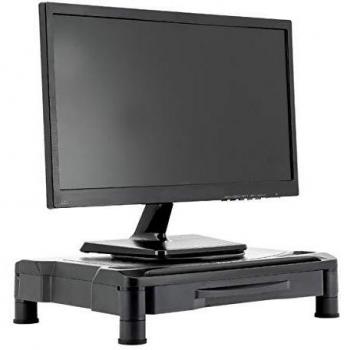 IGG316139 Portable Monitor Support