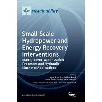 Small-Scale Hydropower and Energy Recovery Interventions: Management, Optimization Processes and Hydraulic Machines Applications