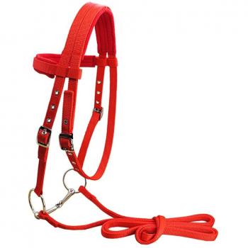 Removable Snaffle Bridle for Horses