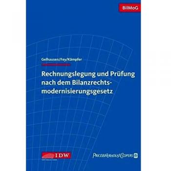 Rechnungslegung und Prüfung nach dem Bilanzrechtsmodernisierungsgesetz