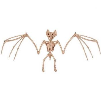 Dragon Dog Snake Spider Prop