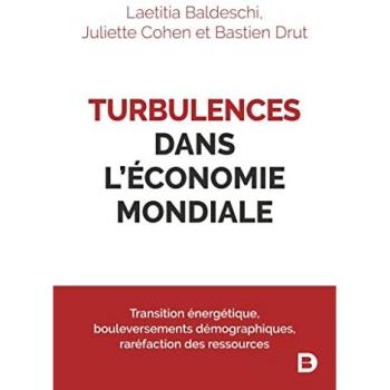 Turbulences dans l'économie mondiale: Transition énergétique, bouleversements démographiques, raréfaction des ressources