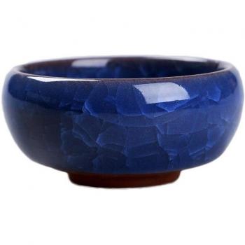 Ceramic Flower Pot for Juicy Plants