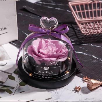Romantic Preserved Rose Under Glass