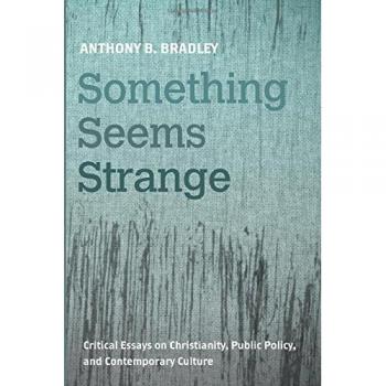 Something Seems Strange: Critical Essays on Christianity, Public Policy, and Contemporary Culture