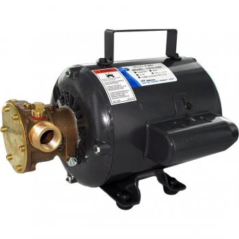 Jabsco 115V Bronze AC Motor Pump Unit