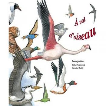 A Vol D'oiseau