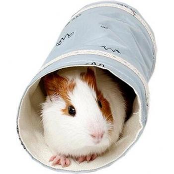Small Pet Spring Tunnel