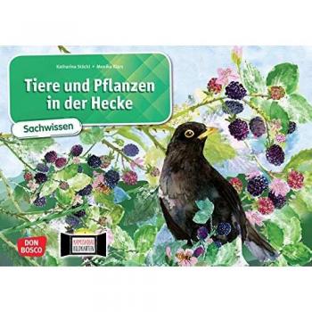 Kamishibai Bildkartenset Tiere und Pflanzen in der Hecke