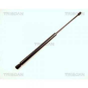 Triscan 8710 16221 Gasdruckfeder Kofferraum