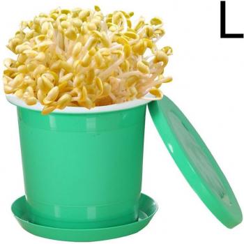 Frijoles Frescos en Lata Casa