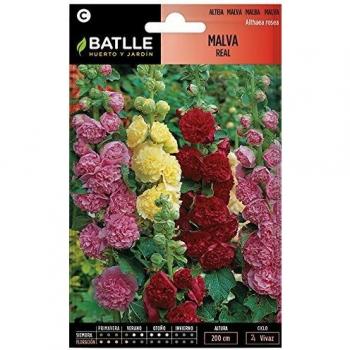 Semillas de Flores