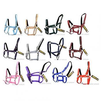 GS Equestrian Dual‑Color (Black/Purple) Padded Head Collar – Pony Size