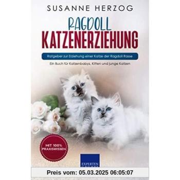 Ragdoll Katzenerziehung