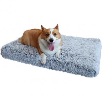 Coussins Peluche Chien et Chat