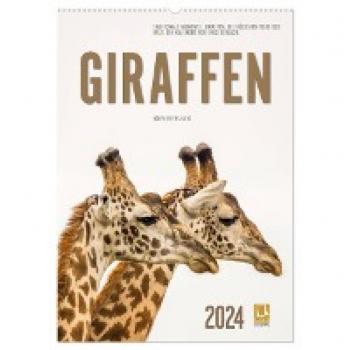 Emotionale Momente: Giraffen die höchsten Tiere der Welt. (Wandkalender 2024 DIN A2 hoch) CALVENDO Monatskalender
