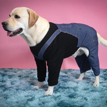 Cool Denim One-Piece for Big Dogs