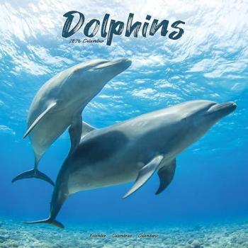 Dolphins Calendar 2026  Square Animal Wall Calendar