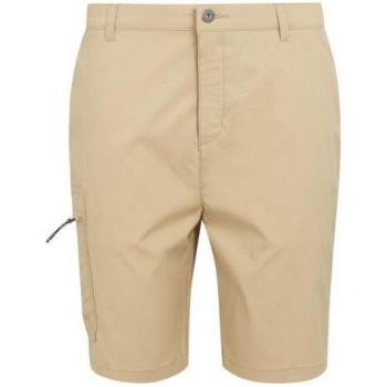 Silver‑Grey Regatta Mens Dalry Pocket Shorts – 40/32