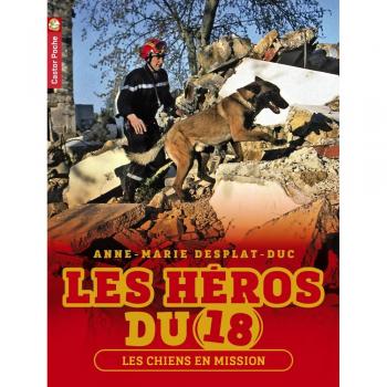 Les Héros Du 18 Tome 4