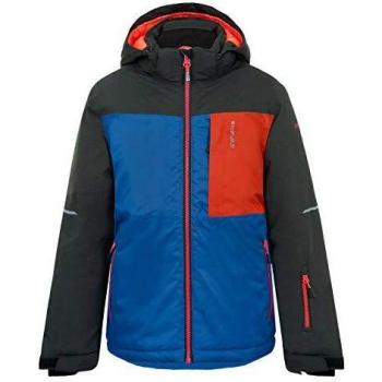 Icepeak Leith Jr. 140 – Tragbarer Kühlspender