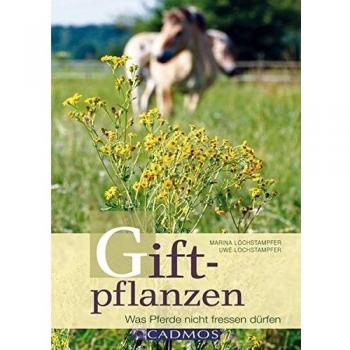 Giftpflanzen für Pferde: Was Pferde nicht fressen dürfen