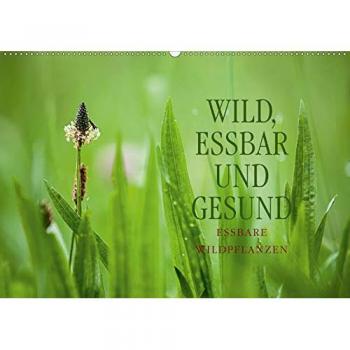 WILD, ESSBAR UND GESUND Essbare Wildpflanzen