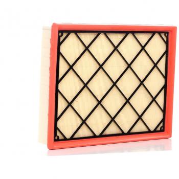 DP1110.10.0396 Luftfilter – Fahrzeug: Kuga Mk3, Focus Mk4