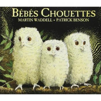 BEBES CHOUETTES (TOUT CARTON)