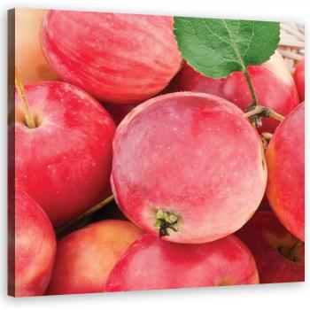 Cuadro de Manzana en Lienzo Rosa 30x30