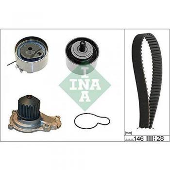 Distributieriemset met Waterpomp INA 530 0641 30