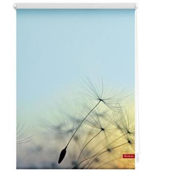 Lichtblick KRT Rollo Klemmfix, Pusteblume