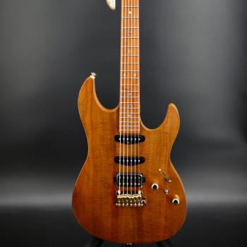 FGN EOS2-DU-EW2 Guitare Vintage Torréfiée