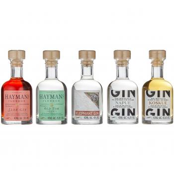Gin‑Degustationsbox 5 × 40 ml