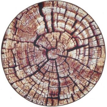 Gino Falcone Teppich Aurora GF-095, rund, 5 mm Höhe, Holz-Design für stilvolle Räume
