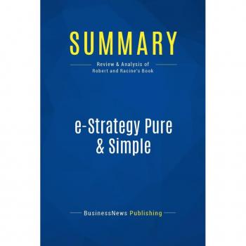 Summary: e-Strategy Pure & Simple