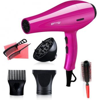 High Power Blow Dryer