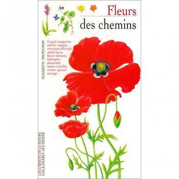 FLEURS DES CHEMINS