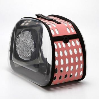 Universal Transparent Cat Bag
