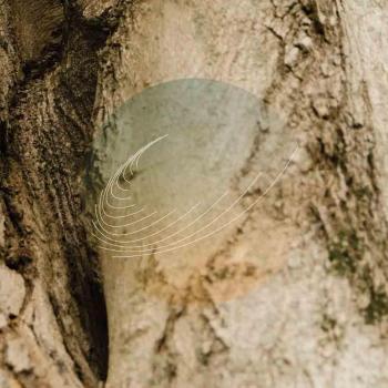 Woodland Harmony Instrumentals