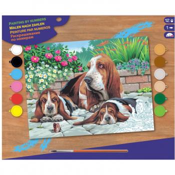 Basset Honden Schilderen Op Nummer Kit 38,2 x 29,2 cm