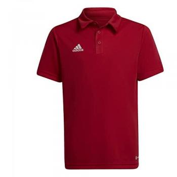 ADIDAS Performance Entrada 22 – T-Shirt Arándano/Blanco para Niños
