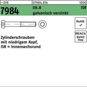 Reyher Zylinderschraube 500 Stück M3x8 T10