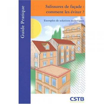 Salissures de façades : comment les éviter ? : Exemples de solutions techniques (Guide pratique)