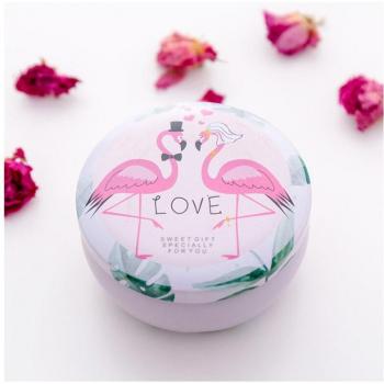 Cute Animal Jewelry & Candy Storage Tin